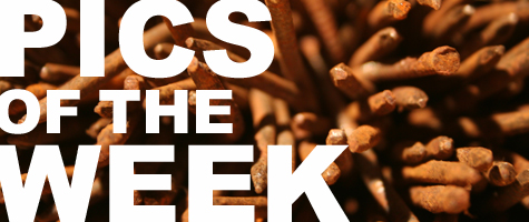 Pics of the Week ::: Rusted