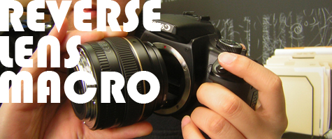 Reverse Lens Macro Photography