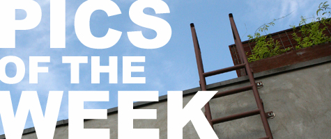 Pics of the Week ::: Urban Wilderness Pics of the Week ::: Urban Wilderness