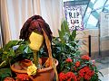 © Angela R. Martinez Houston Museum of Natural Science Lois the Corpse Flower