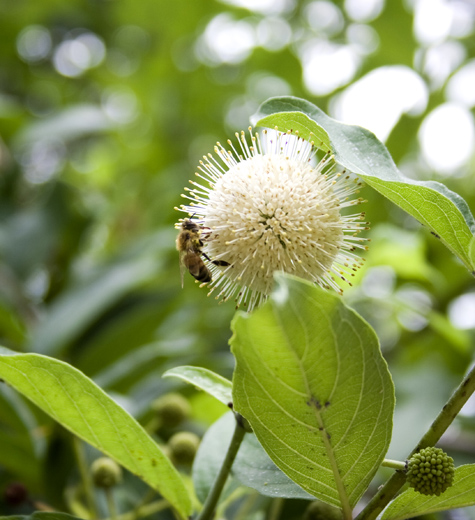 Pics of the Week Radical ::: Untitled © Angela R. Martinez