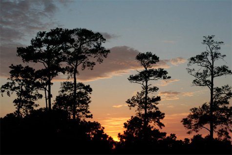 Pics of the Week Open [7] ::: Seven Fifty Five © Peter Ho