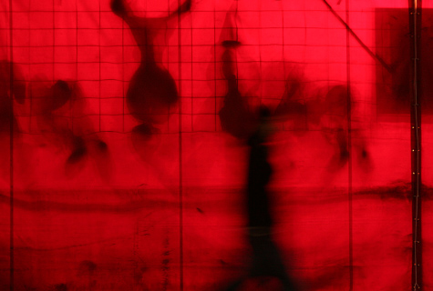 Pics of the Week Shadows ::: Carnival © Greg Ryden, AIA