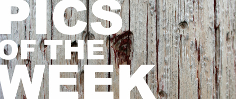 Pics of the Week ::: Wood © BRAVE ARCHITECTURE Houston Architecture Firm