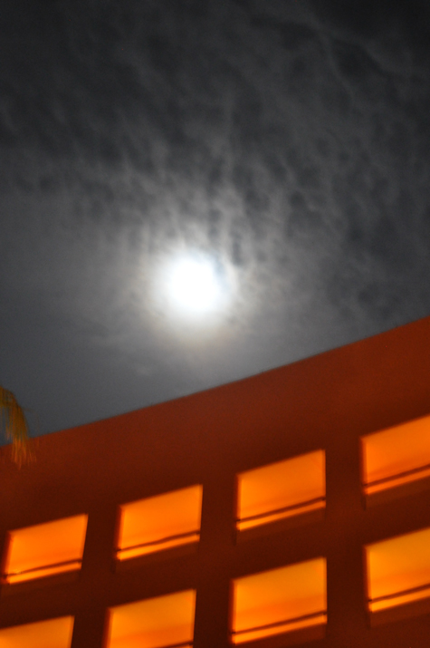 Pics of the Week ::: Untitled © Alejandro Brave Photo of Los Cabos