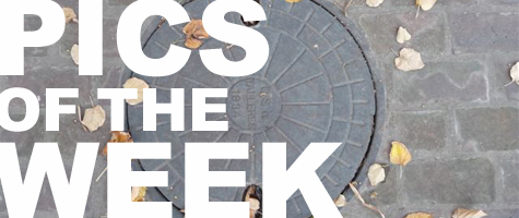 Pics of the Week: Letter "O"