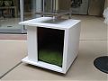 Barkitecture: Saturday<br />