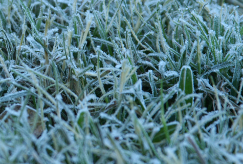 Pics of the Week Cold ::: Frosty © Greg Ryden, AIA