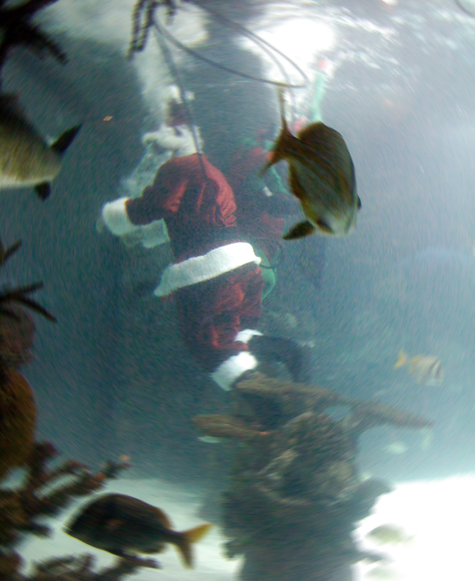 Pics of the Week Santa Claus is Coming to Town ::: Untitled © Alp Bozkurt