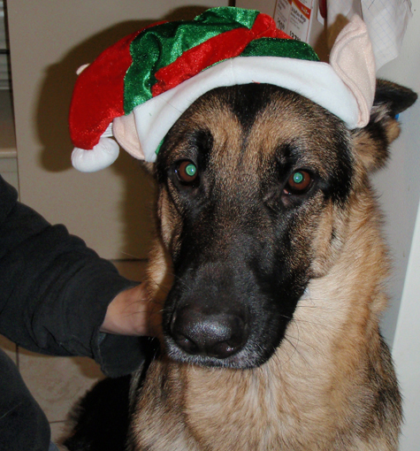 Pics of the Week Santa Claus is Coming to Town ::: Winter Grey © Angela R. Martinez