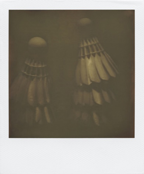 The Impossible Project Instant Film Revival Untitled by Ani Asvazadurian of Austria
