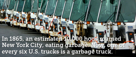 In 1865, an estimated 10,000 hogs roamed New York City, eating garbage. Now, one of every six U.S. trucks is a garbage truck.
