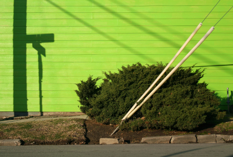 Pics of the Week Open 14 ::: Green © Greg Ryden, AIA