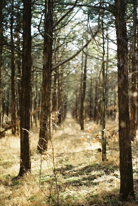 Pics of the Week Open 15 ::: Wichita Mountains Oklahoma © Angela R. Martinez