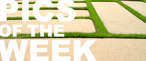 Pics of the Week ::: Goodbye Winter (Hello Spring) Pics of the Week ::: Goodbye Winter (Hello Spring)