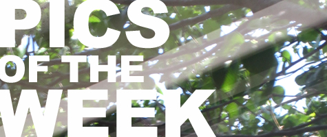 Pics of the Week Open by Brave Architecture Houston Texas Architecture Firm