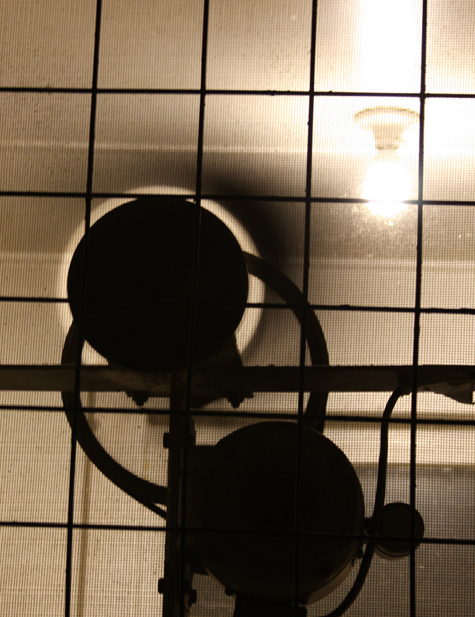 Pics of the Week Open 20 ::: What © Silvana Micolich