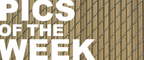 Pics of the Week Open by Brave Architecture Houston Texas Architecture Firm