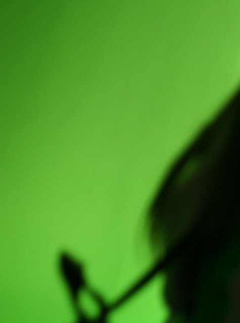 Pics of the Week Open 22 ::: Green Shadow © Greg Ryden, AIA