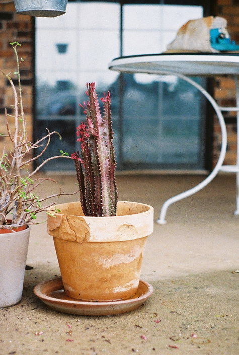 Pics of the Week Open 24 ::: Untitled © Angela R Martinez