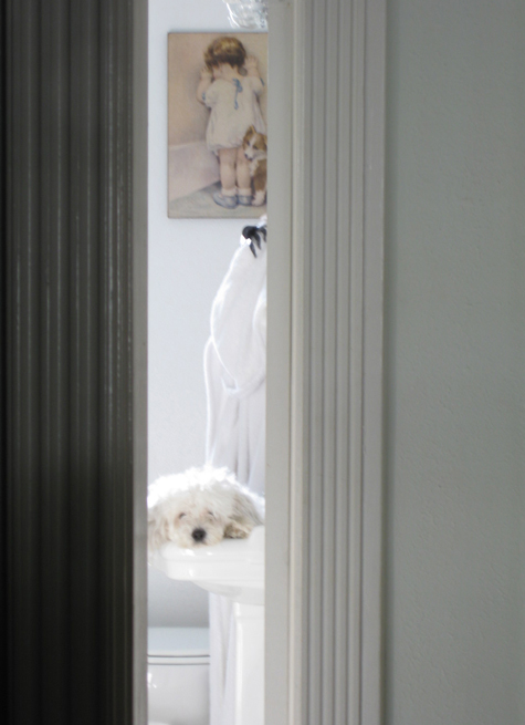 Pics of the Week Open 24 ::: Time Out © Andrew Turner AIA