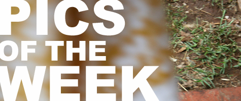 Pics of the Week Open by Brave Architecture Houston Texas Architecture Firm