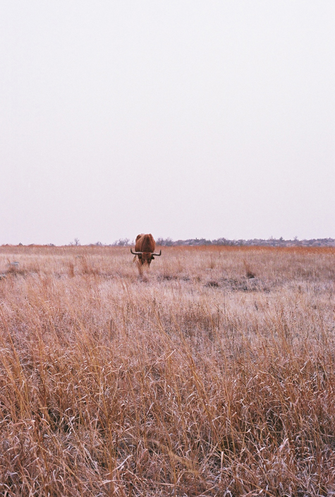Pics of the Week Open 26 ::: Untitled © Angela R Martinez