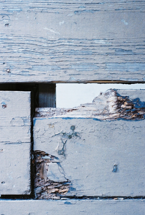 Pics of the Week Open 27 ::: Grain © Angela R Martinez