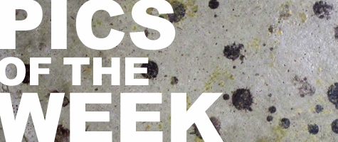 Pics of the Week Open by Brave Architecture Houston Texas Architecture Firm