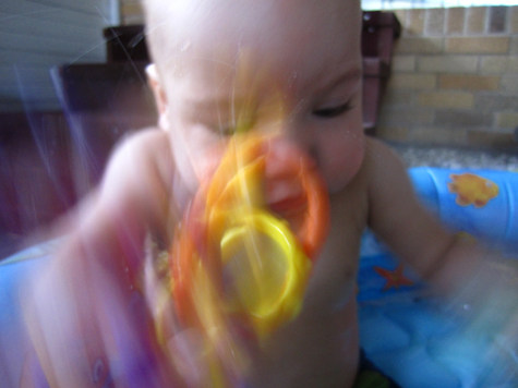 Pics of the Week Open 30 ::: Faster © Silvana Micolich