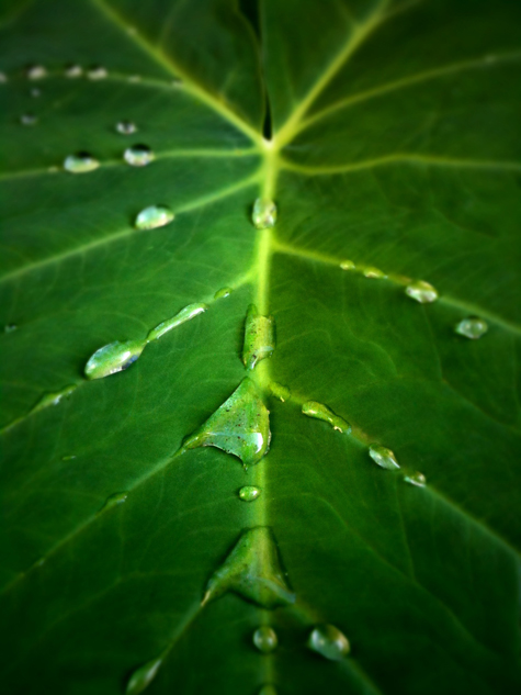 Pics of the Week Open 31 ::: Drop © Christian Sheridan AIA