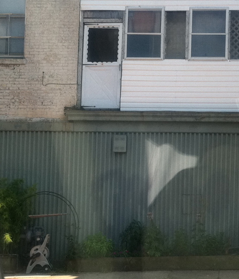 Pics of the Week Open 32 ::: Non-compliant Riser © Frank Vargas AIA