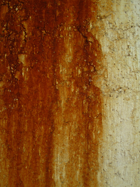 Pics of the Week Haunting ::: Time © Silvana Micolich