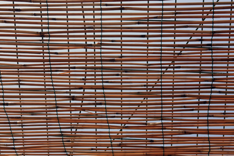 Pics of the Week Open 40 ::: Untitled © Diana Ngo