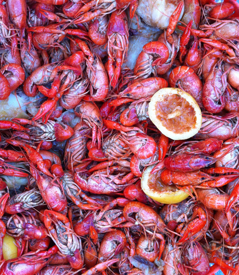 Pics of the Week Memorial Weekend ::: Laissez les Bons Temps Rouler © Brandi Johnson