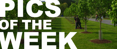 Pics of the Week: Your Favorite Color Pics of the Week: Your Favorite Color