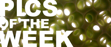 Pics of the Week: Something You've Had to Say Goodbye To Pics of the Week: Something You've Had to Say Goodbye To