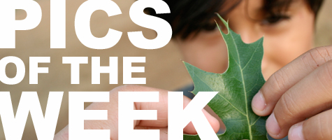 Pics of the Week: Portraits
