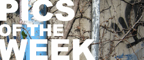 Pics of the Week: Graffiti 