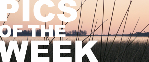 Pics of the Week: Light Pics of the Week: Light